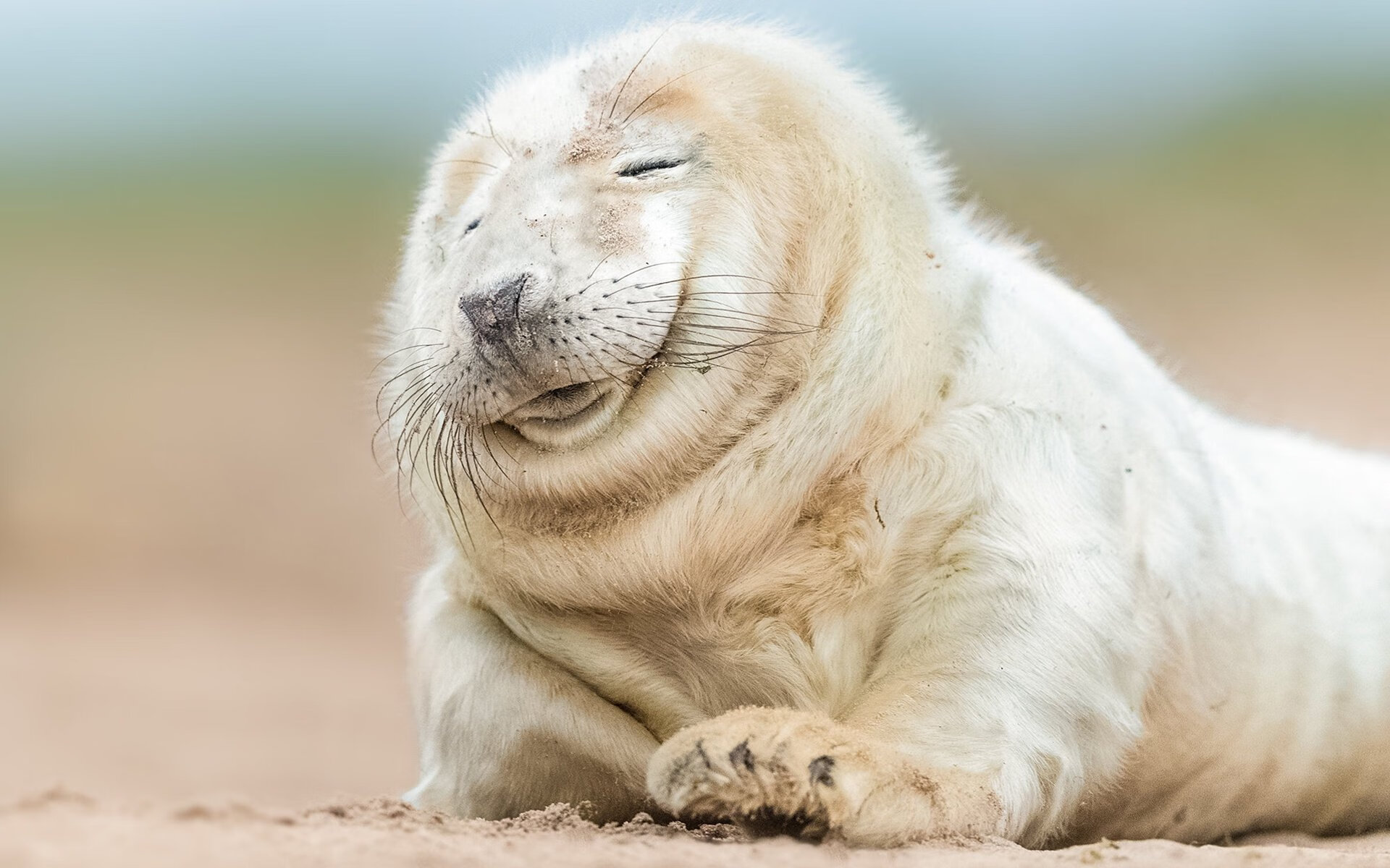 马龙再战巴黎,35岁老将冲击最后一冠,马龙出战