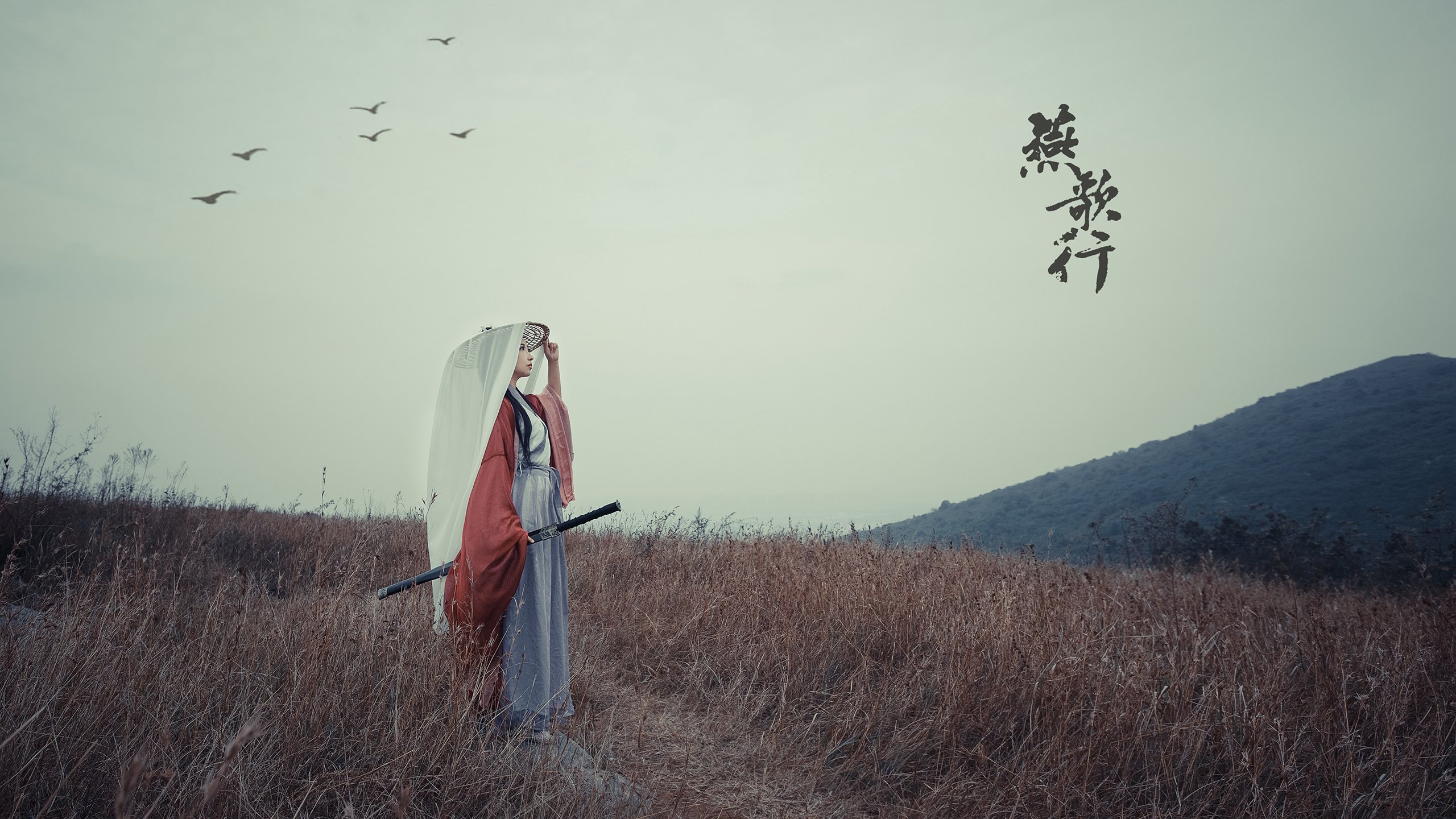 华体会hth娱乐平台-北马其顿力克冰岛，提前锁定小组次席，北马其顿能赢奥地利吗