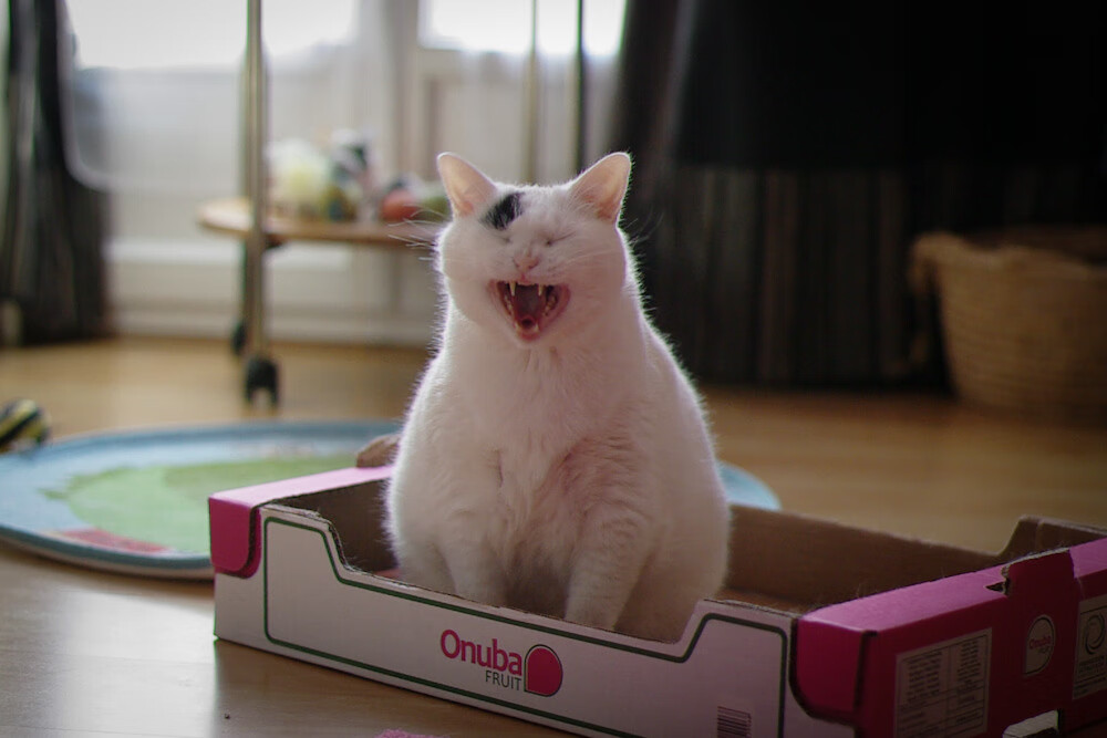 国家队备战计划执行不到位,战备计划通常每年组织修订几次