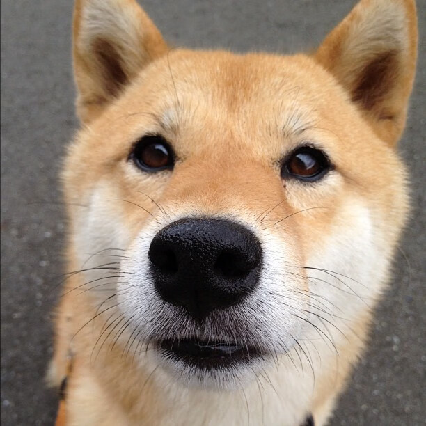 男子100自冲刺节奏曲线首次发布,男子100米冲刺比赛视频