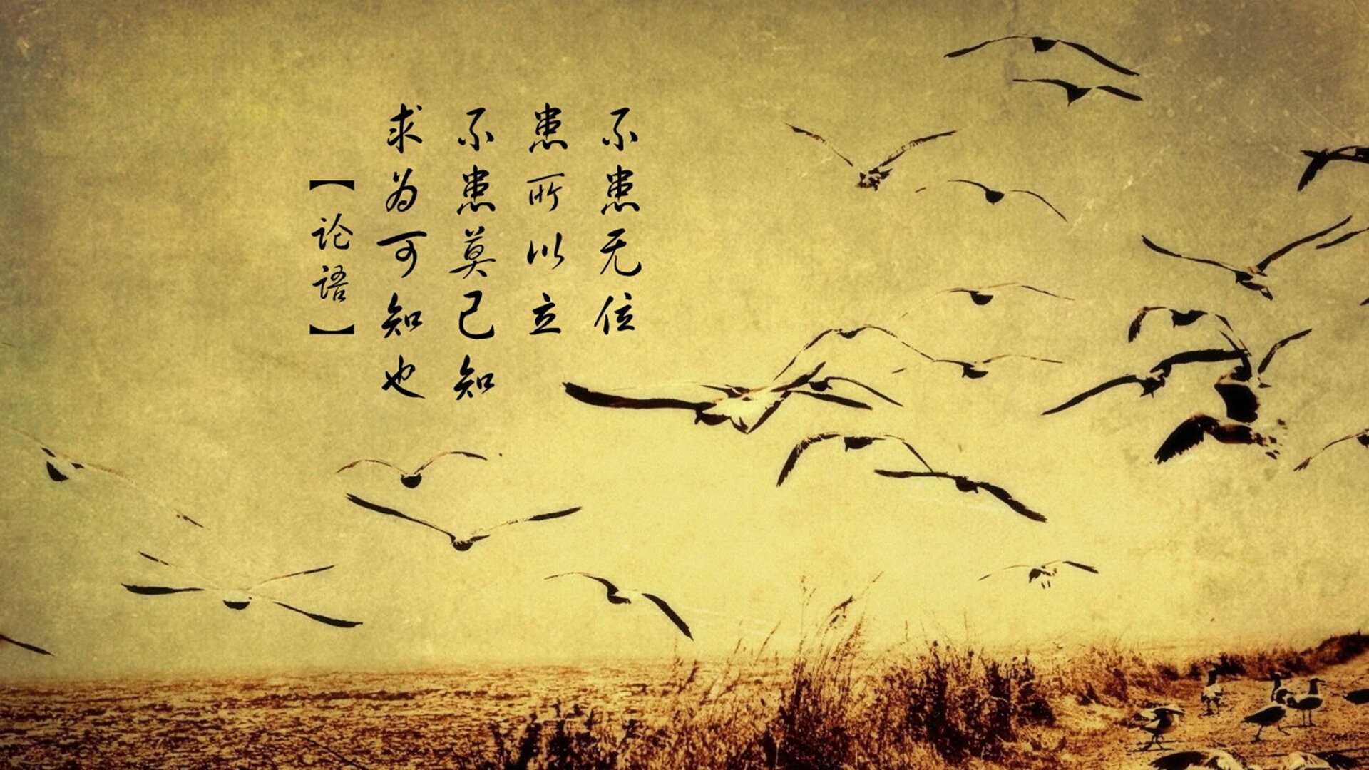 国际马拉松赛赛事安全保障，马拉松赛事保障工作