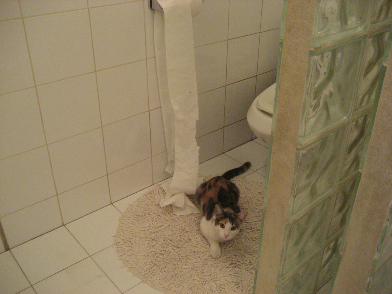 大卫·波波维奇用速度与耐力完美结合，波波维奇为什么