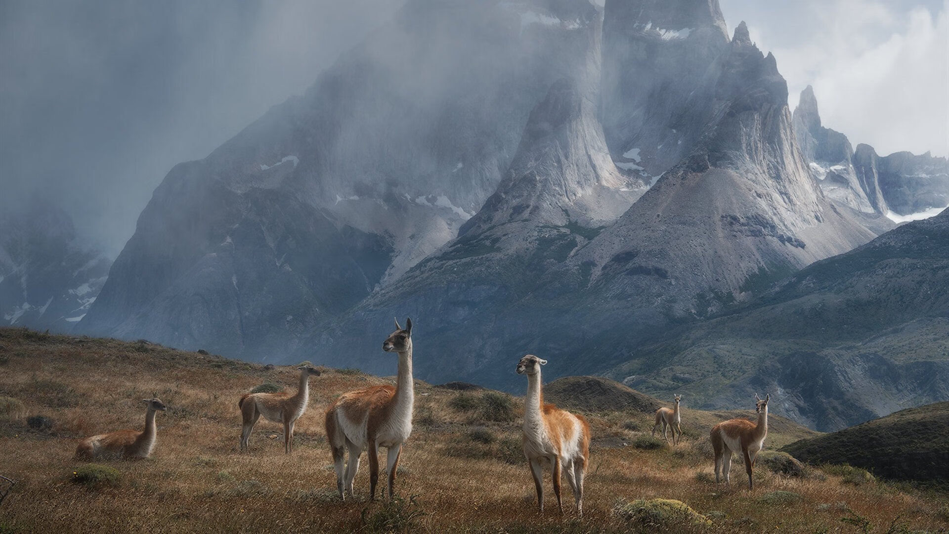 德甲攻势如潮：全场节奏快如闪电，德甲现场