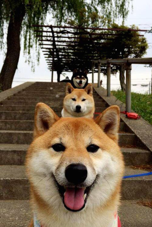 李冰洁再战200米自由泳 成绩稳定,李冰洁游泳比赛